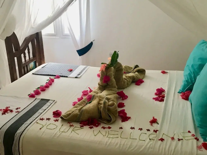 Driftwood Beach Lodge