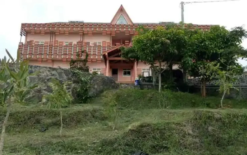 Tulip Guest House & Cafe