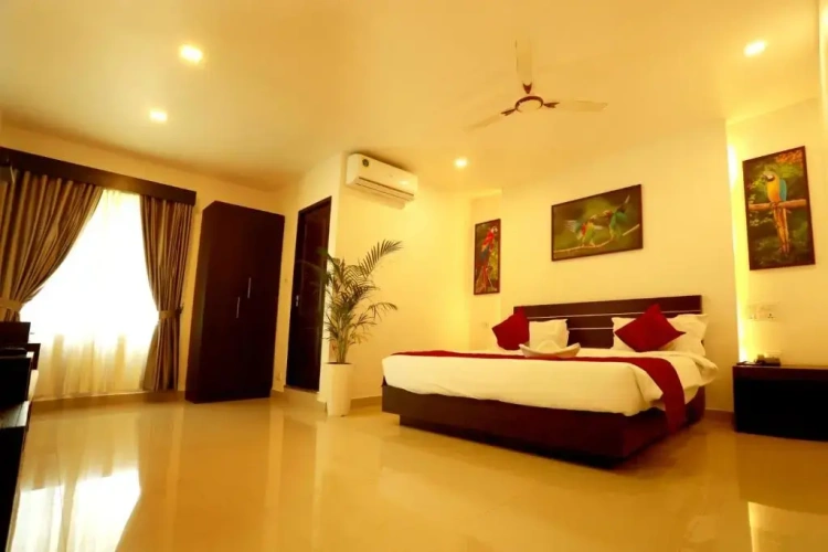 Deluxe Double room