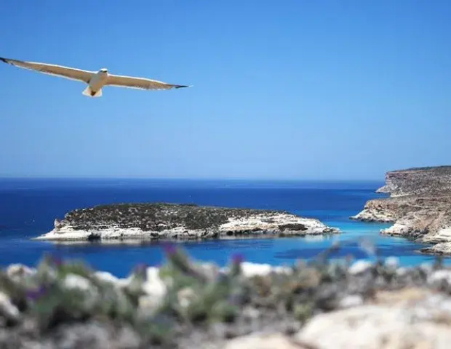 Villette Cala Galera