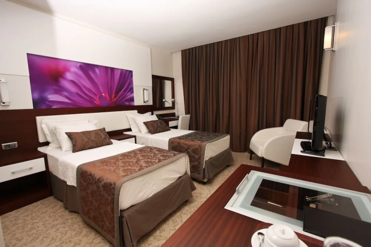 Standard Family room