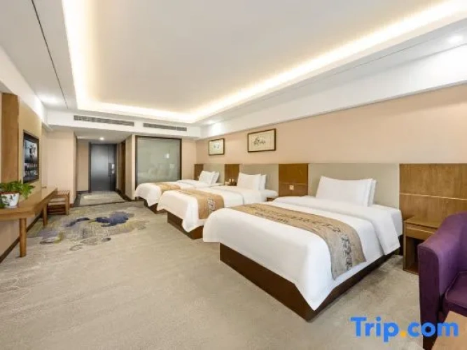 Business Double room with panoramic view