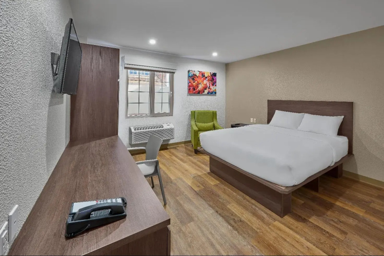 Extended Suites Celaya Galerías