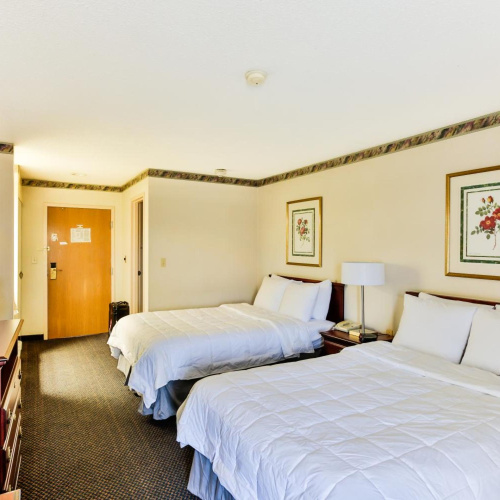 The View Inn & Suites