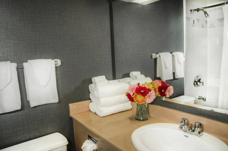Cartier Place Suite photo 8