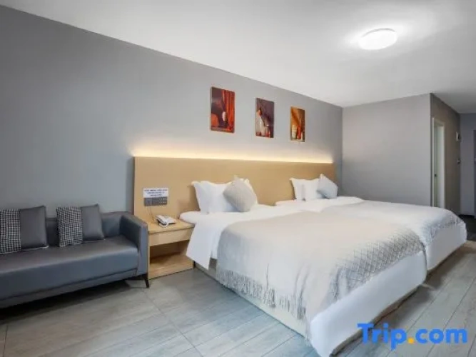 Deluxe Twin room with city view