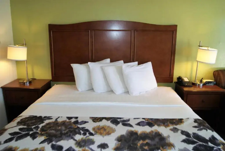 Willow Tree Inn