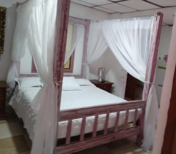 Standard Double room with garden view