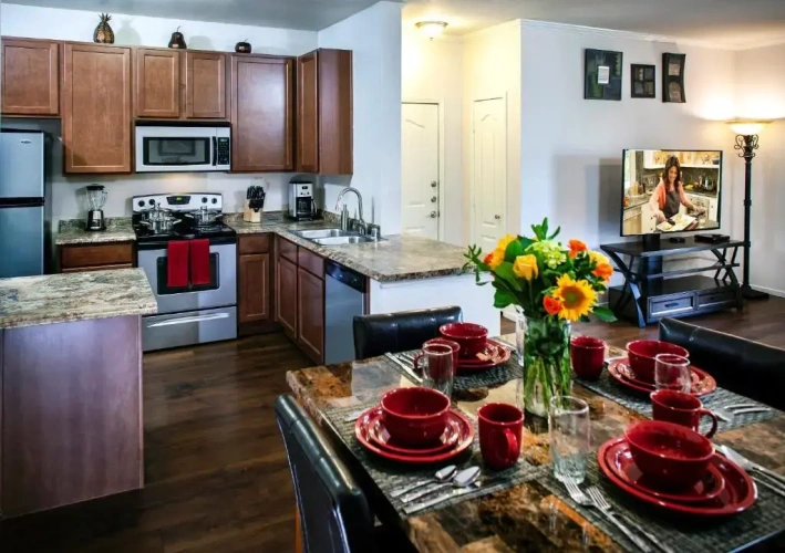 1 Bedroom Apartment