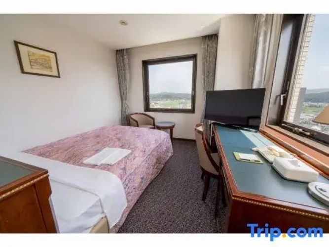 Standard Double room with city view