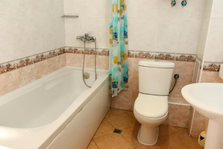 Complex Sozopol Dreams BMT