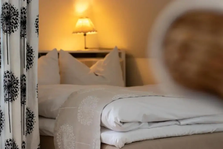 1 Bedroom Single Apartment