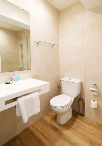 1 Bedroom Premium Double room with balcony