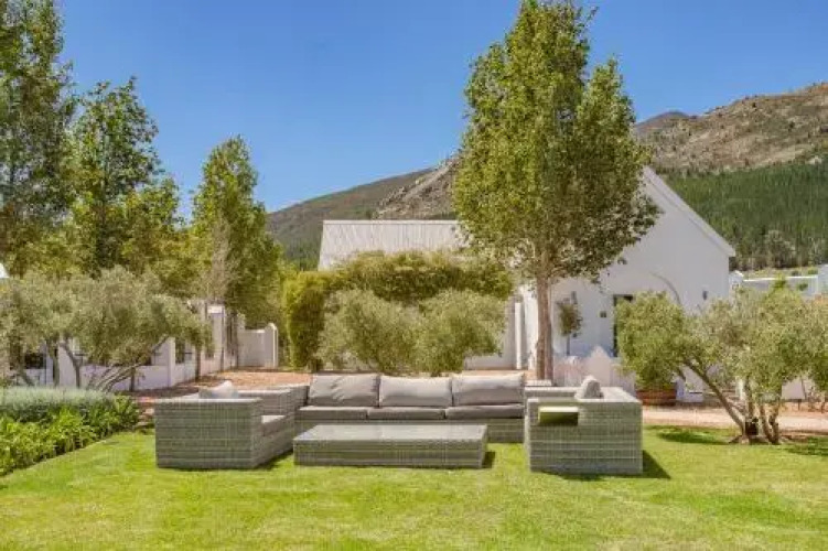 Goodings Groves Olive FarmOver view