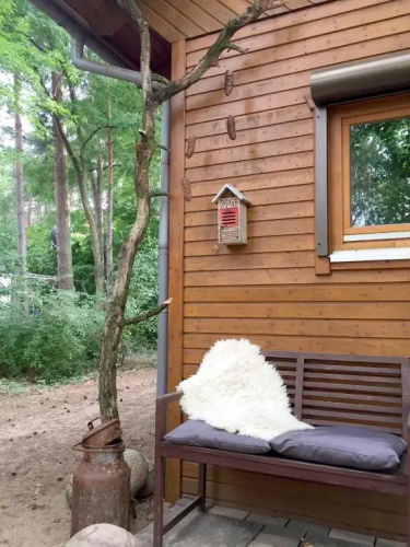 Wald Und Wohlsein