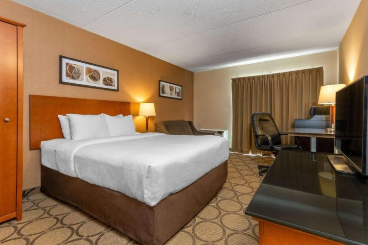 Pet-Friendly Double room