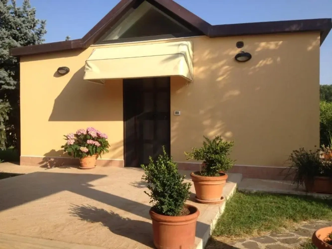 Standard Single room