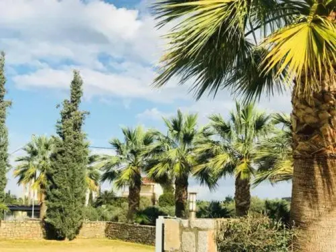 Villa Zeus