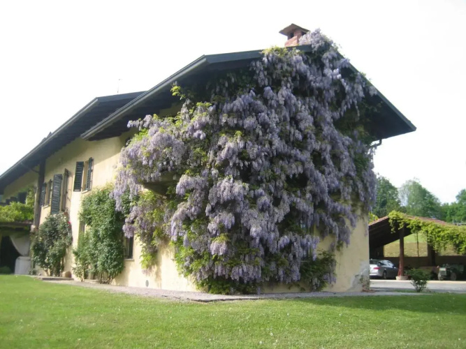 Antica Cascina del Medico