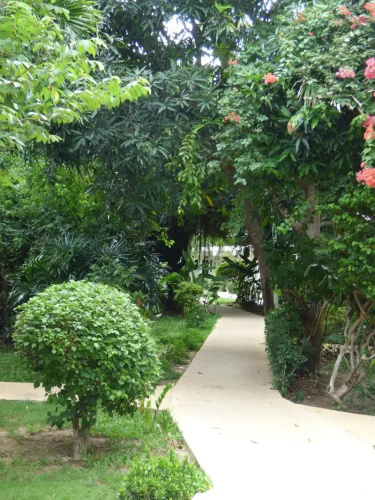Samui Beach Resort