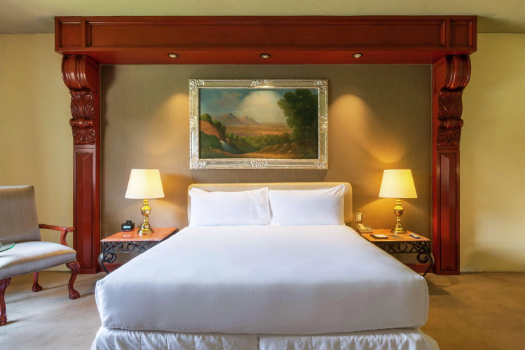 Hilton San Luis Potosi photo 8
