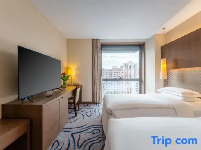 Executive Double Suite