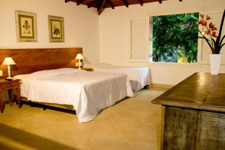 Standard room with balcony and with view