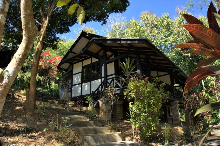 Twin Bungalow with garden view