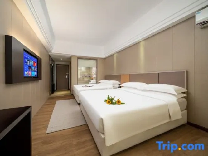 Standard Twin Family room