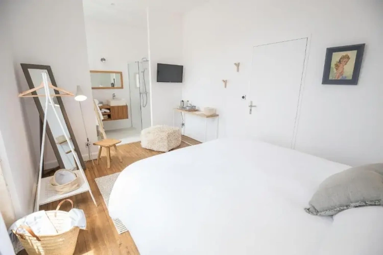 Standard Double room with garden view