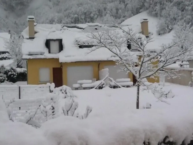 Cottage