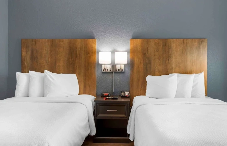 1 Bedroom Suite