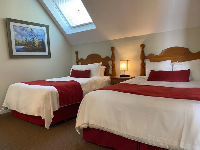 Premium Suite