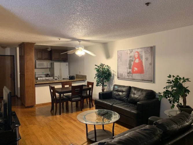 Junior Suite — Single Bed