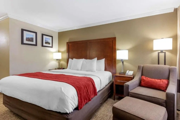 Double room
