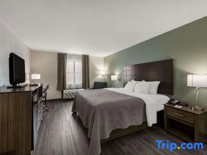 Single Suite