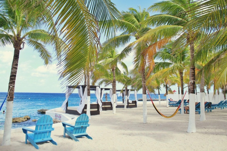 Cozumel Hotel & Resort, Trademark Collection by Wyndham photo 30