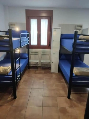 Bed in Dorm