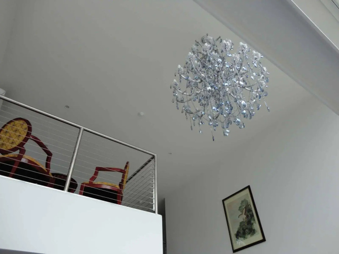 Areca Launceston