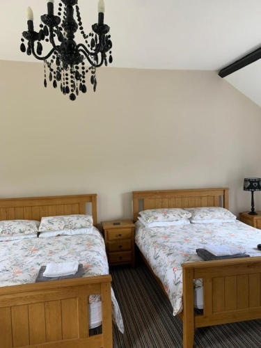Standard Family room