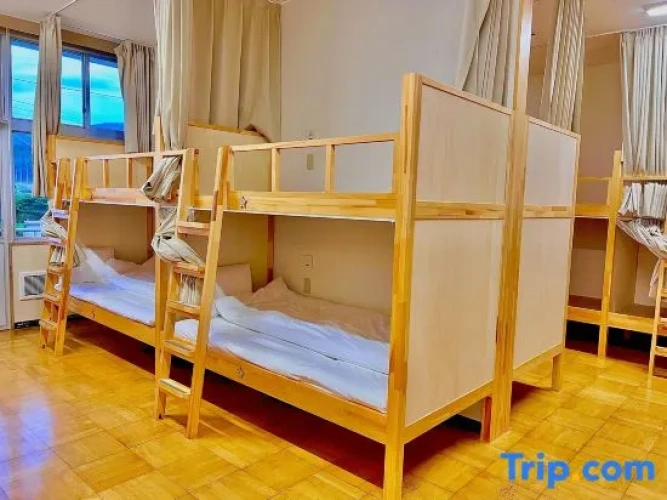 Bed in Dorm