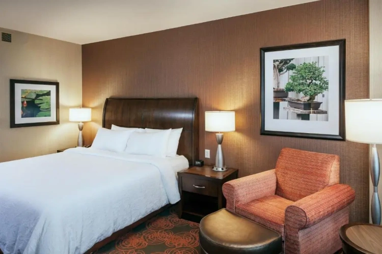 1 Bedroom Double Suite