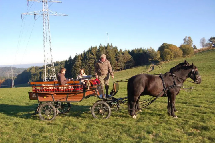 Ferienwohnungen Westfalenhof