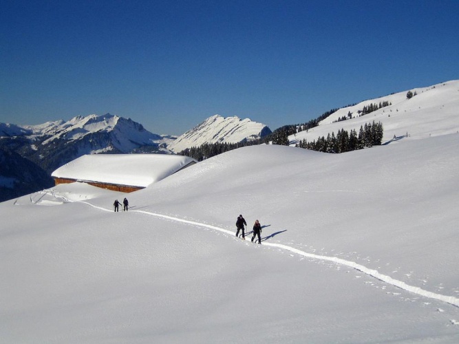 1 Bedroom Double Apartment with balcony and with mountain view