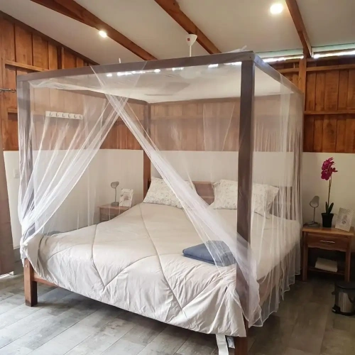 Comfort Suite