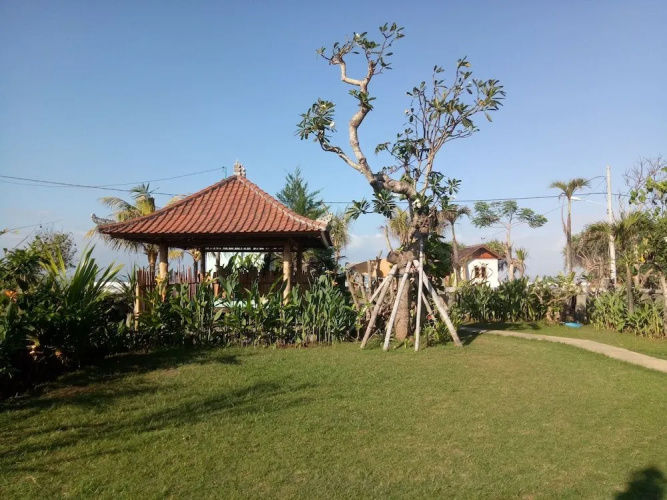 Emir surfcamp