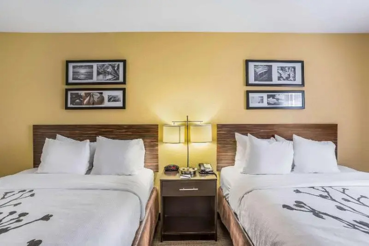 Sleep Inn & Suites