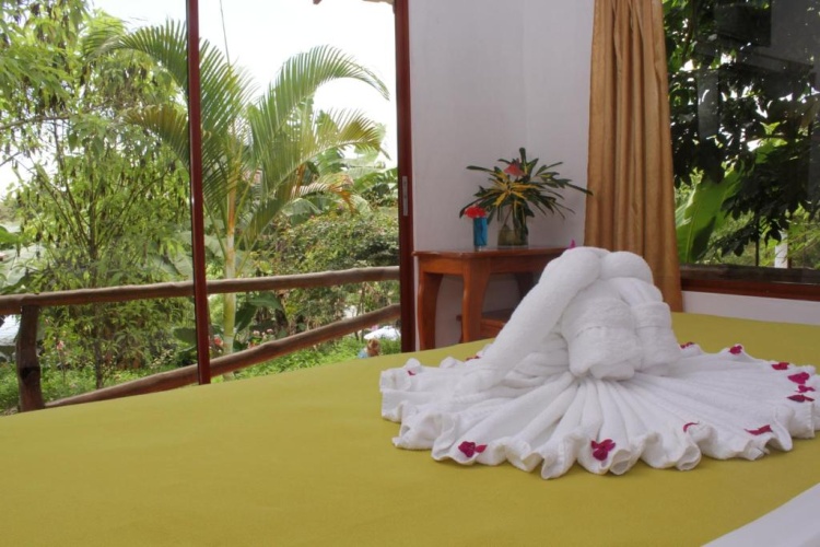Standard Double room with view