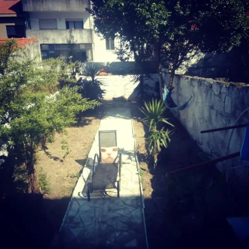 Alegria Apartment