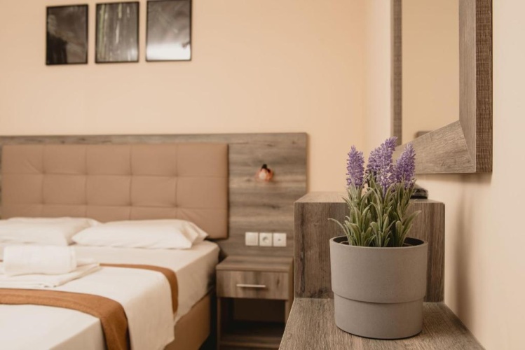 Standard Double room with mountain view